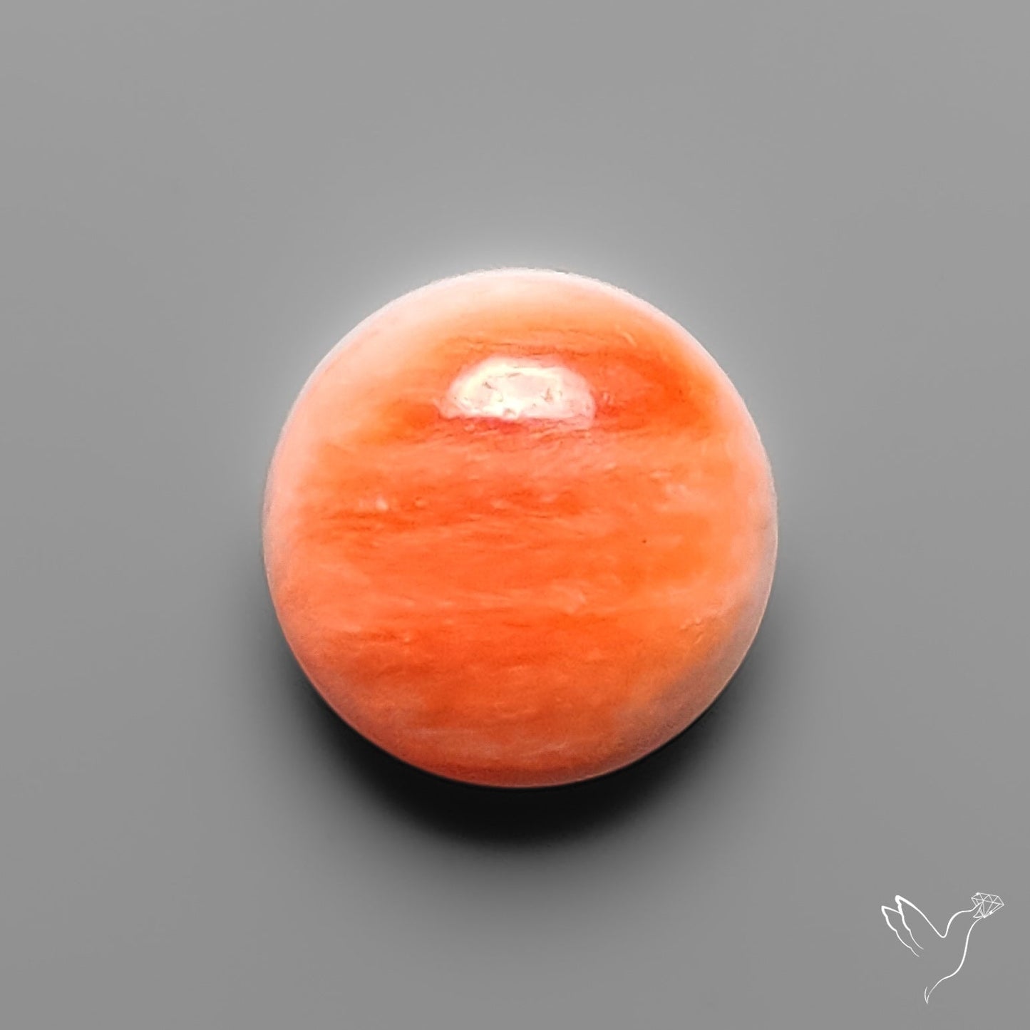 Spiny Oyster Shell Cabochon