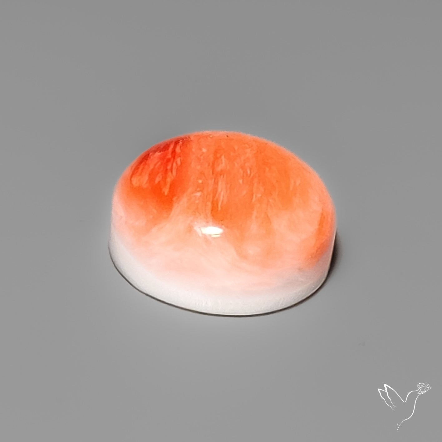 Spiny Oyster Shell Cabochon