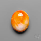 Spiny Oyster Shell Cabochon
