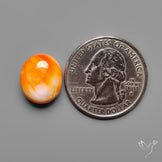 Spiny Oyster Shell Cabochon