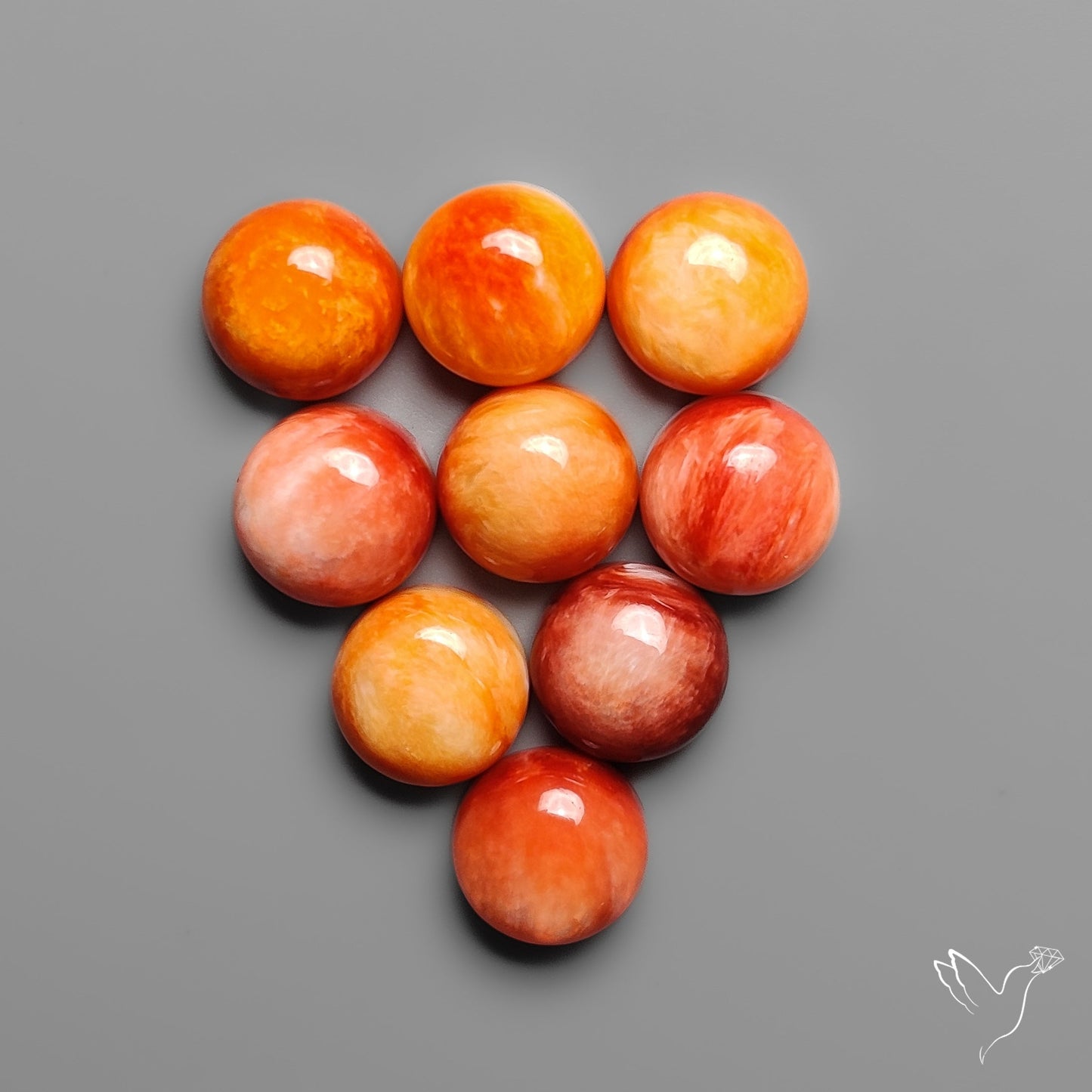 Spiny Oyster Shell Calibrated Cabochons