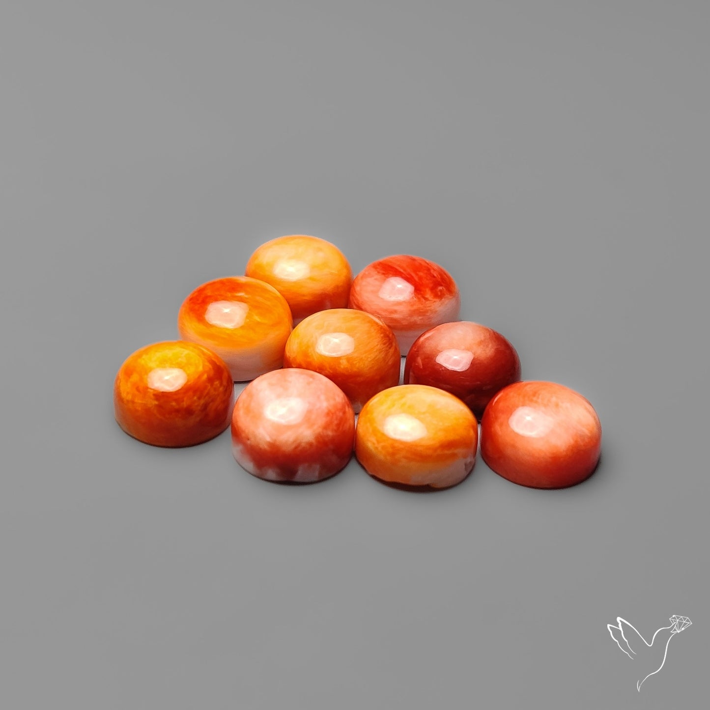 Spiny Oyster Shell Calibrated Cabochons