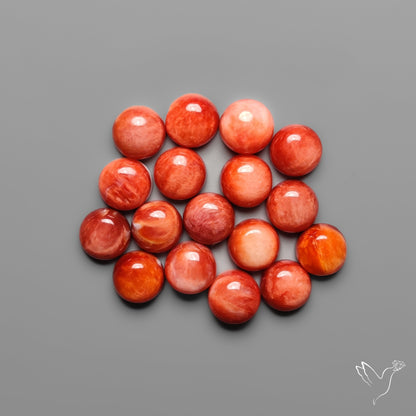 Spiny Oyster Shell Calibrated Cabochons