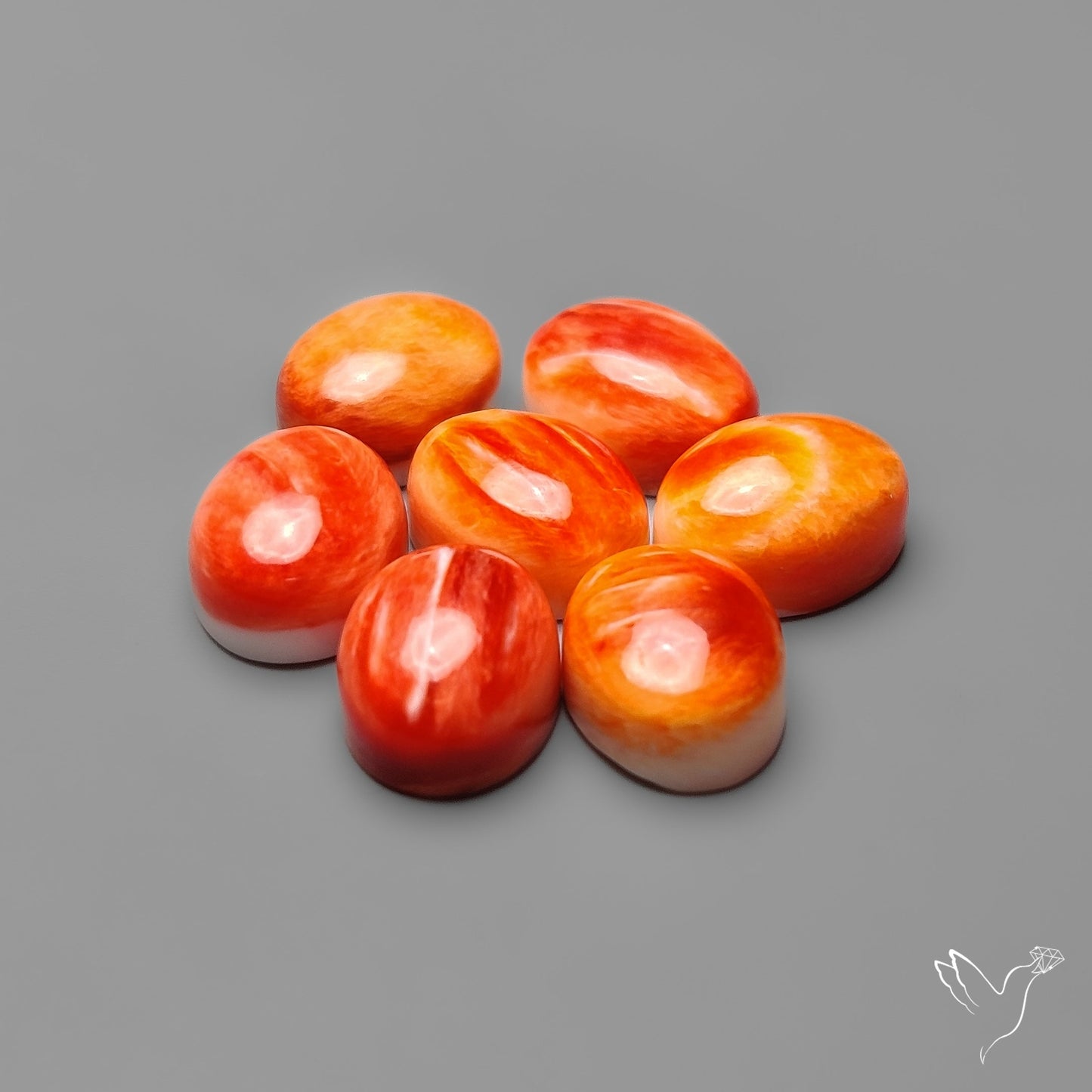 Spiny Oyster Shell Calibrated Cabochons