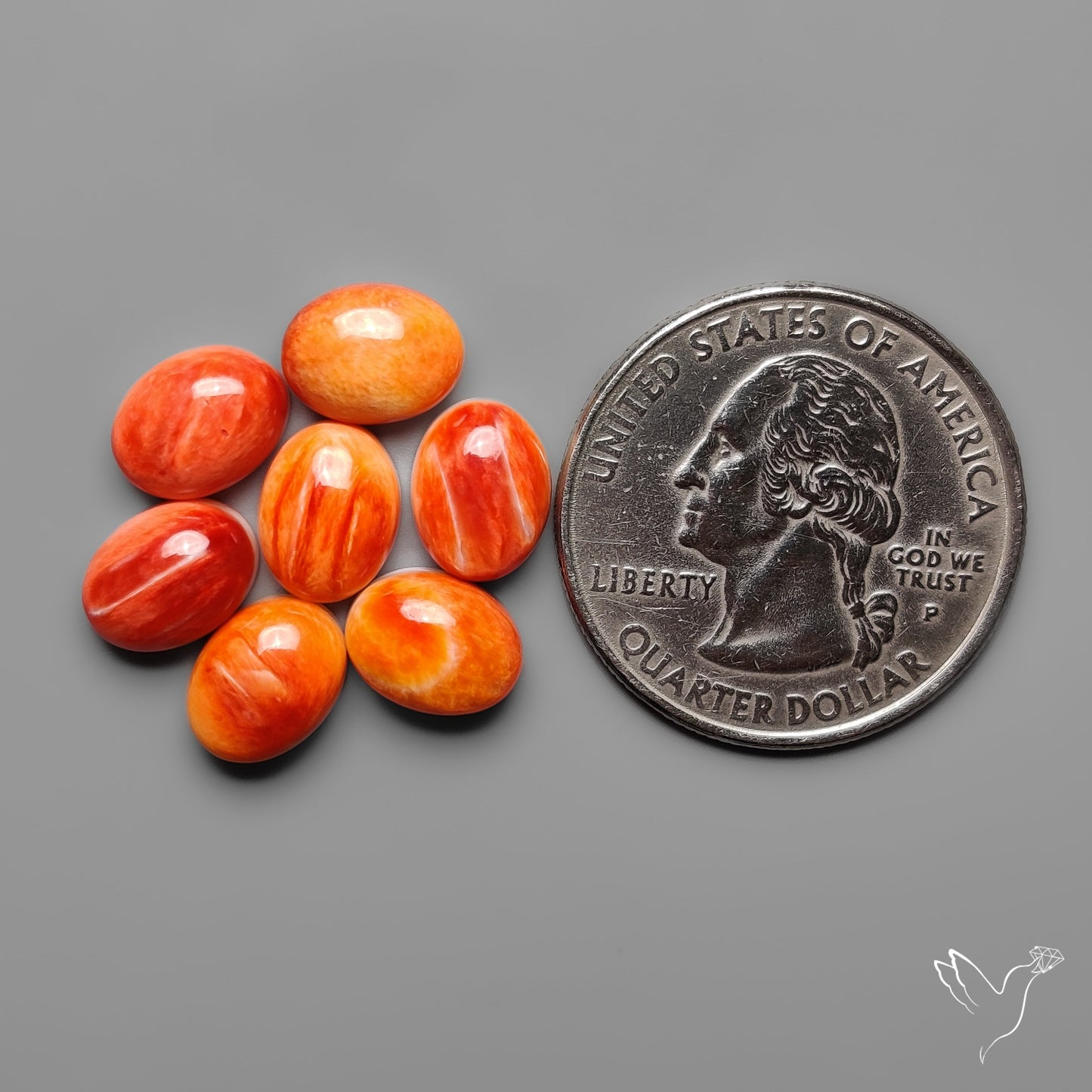 Spiny Oyster Shell Calibrated Cabochons