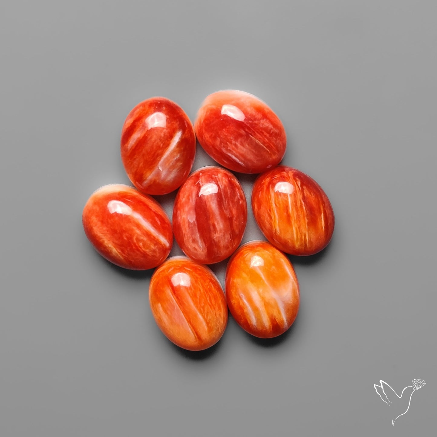 Spiny Oyster Shell Calibrated Cabochons