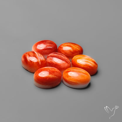 Spiny Oyster Shell Calibrated Cabochons