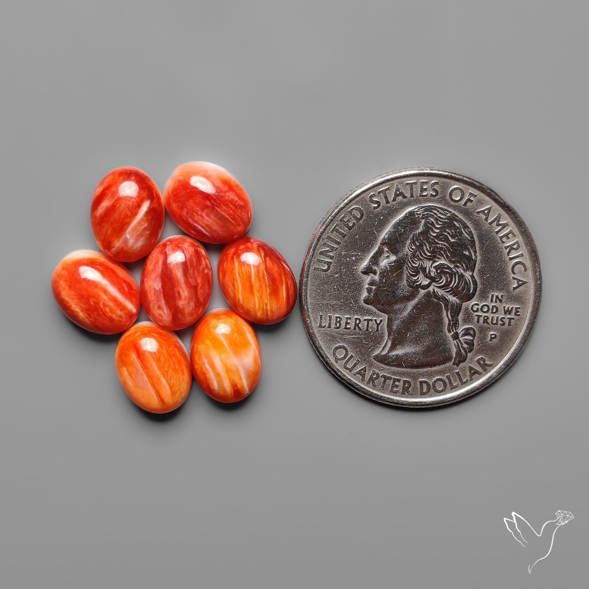 Spiny Oyster Shell Calibrated Cabochons