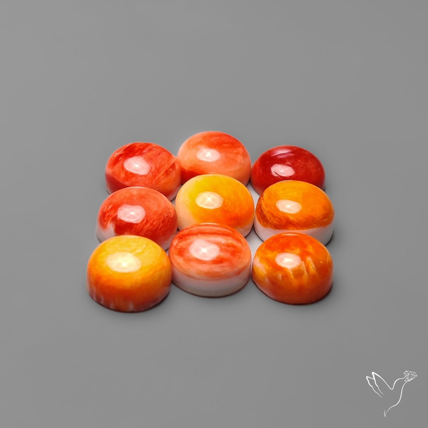 Spiny Oyster Shell Calibrated Cabochons