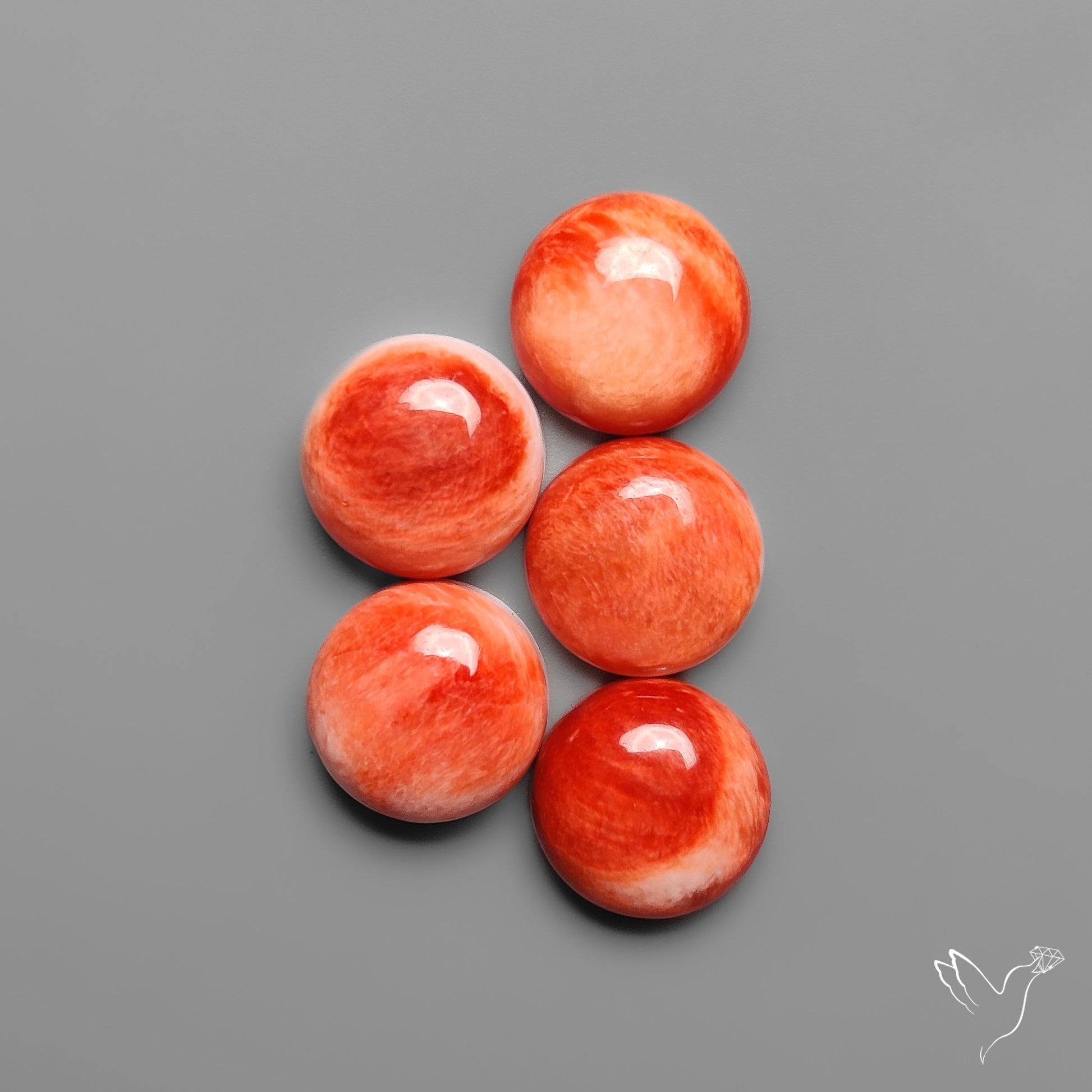 Spiny Oyster Shell Calibrated Cabochons