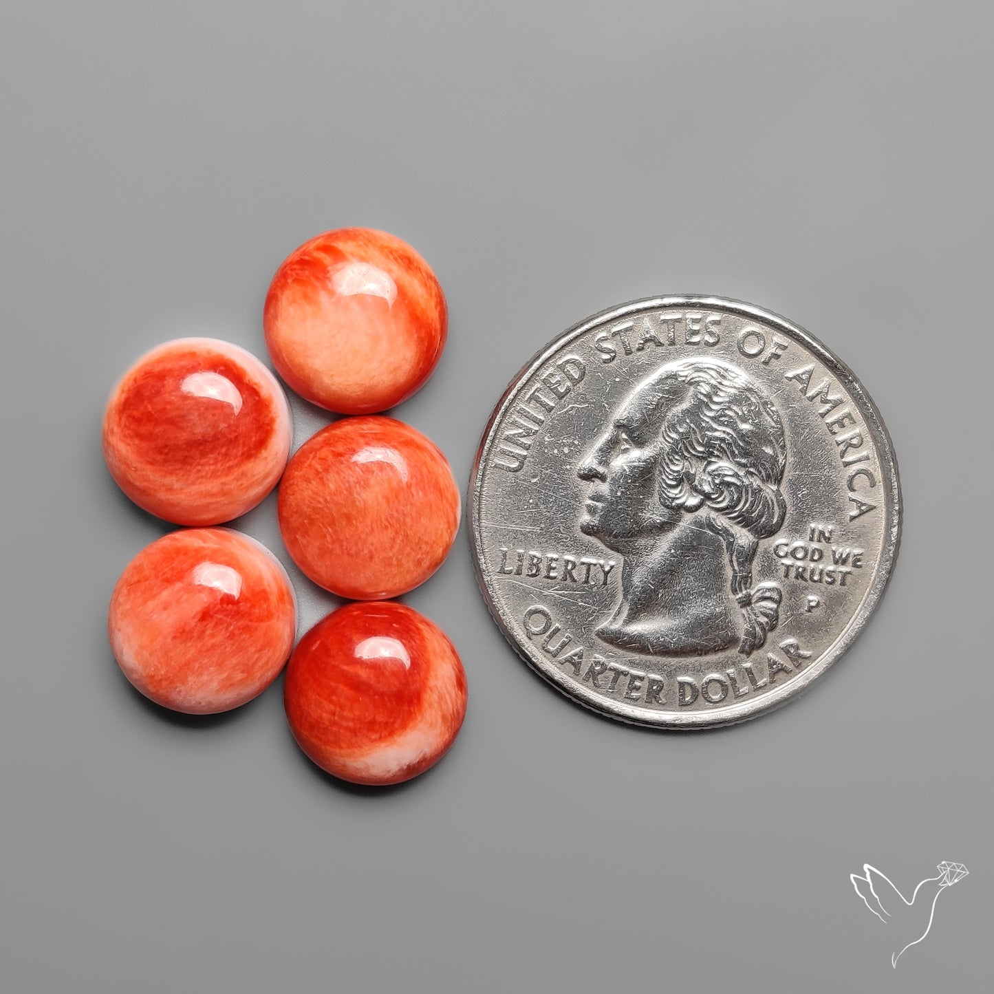 Spiny Oyster Shell Calibrated Cabochons