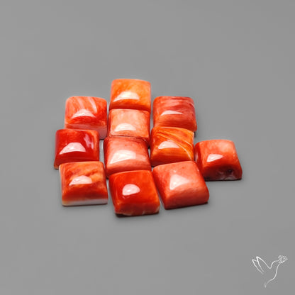 Spiny Oyster Shell Calibrated Cabochons