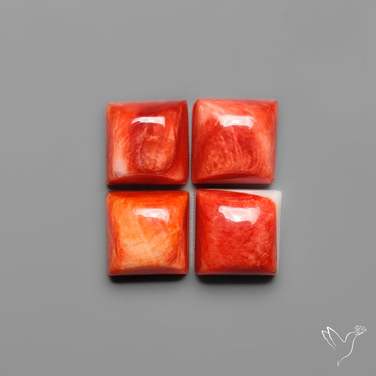 Spiny Oyster Shell Calibrated Cabochons