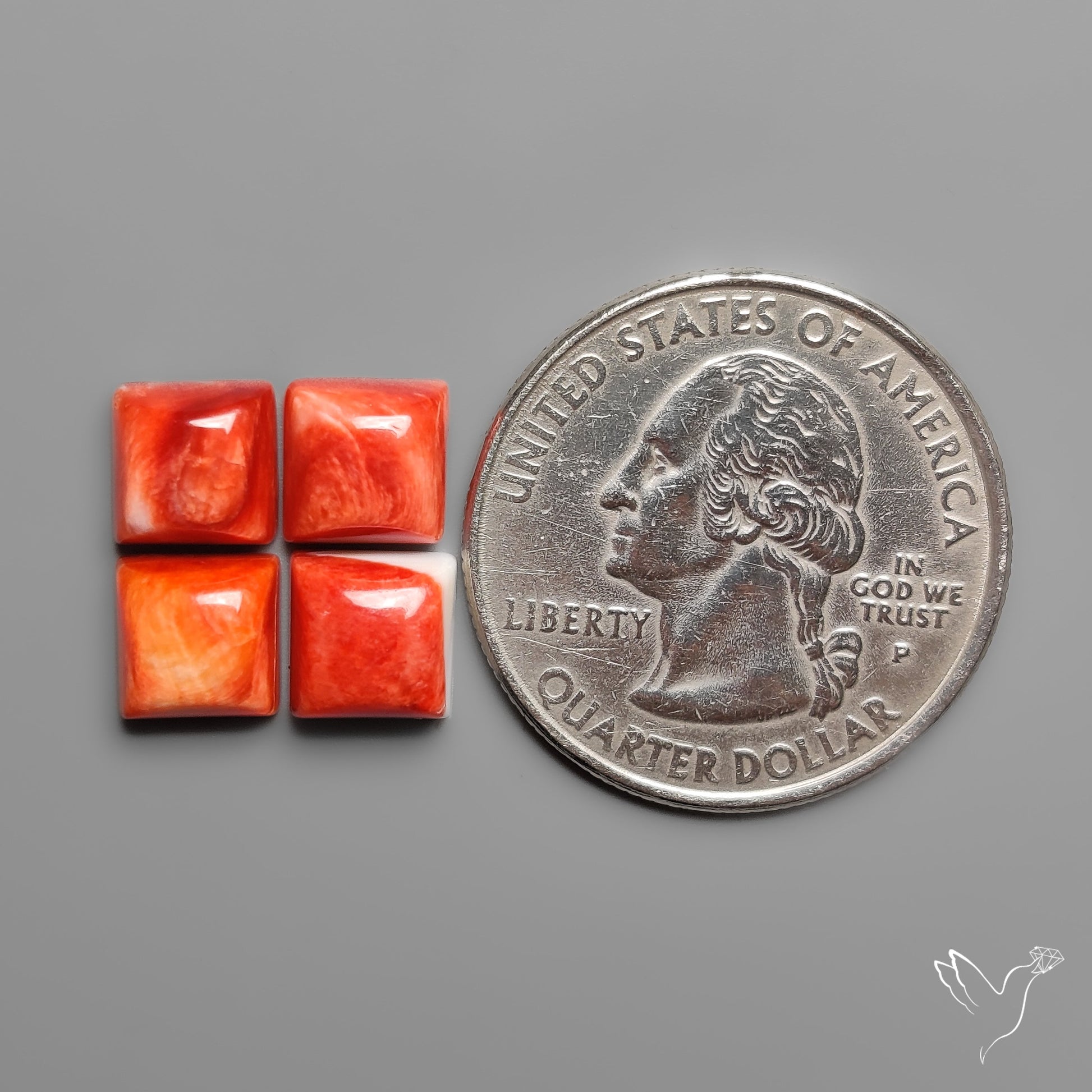 Spiny Oyster Shell Calibrated Cabochons