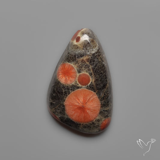 Peanut Wood Obsidian Cabochon
