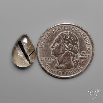 Black Tourmalinated Quartz Cabochon