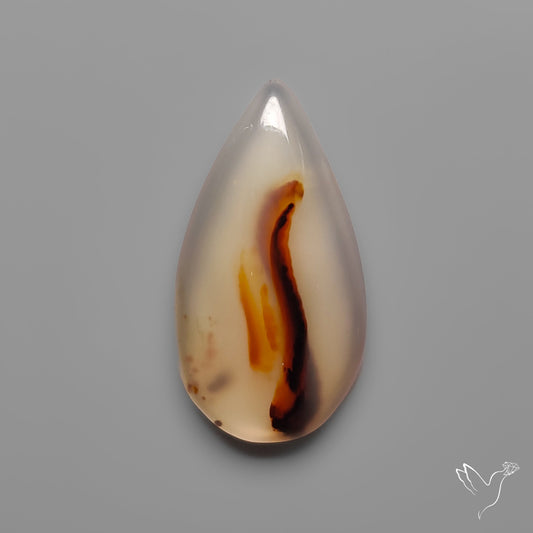 Montana Agate Cabochon