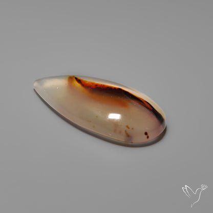 Montana Agate Cabochon