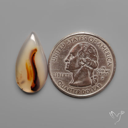 Montana Agate Cabochon