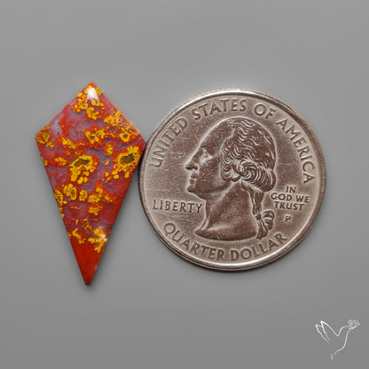 Moroccan Seam Agate Coffin