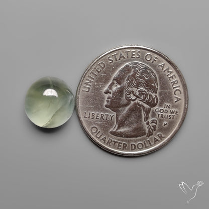 Prehnite Cabochon
