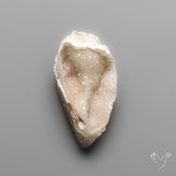 Snail Shell Druzy