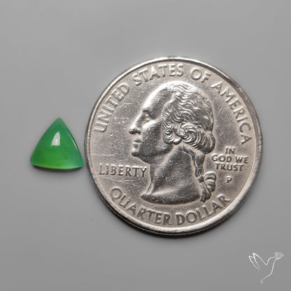Gemmy Chrysoprase Chalcedony