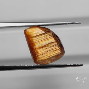 AAA Faceted Golden Rutilated Quartz