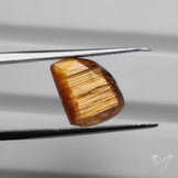 AAA Faceted Golden Rutilated Quartz