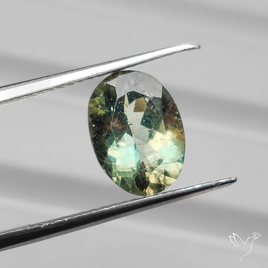 Faceted High Grade Gem Green Aquamarine