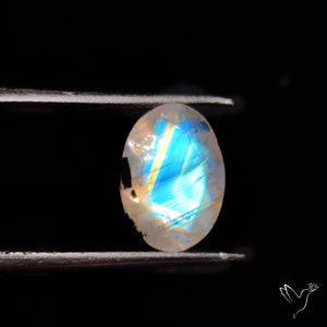 Faceted Rainbow Moonstone