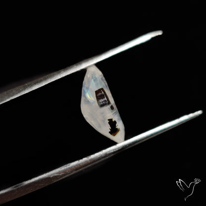 Faceted Rainbow Moonstone