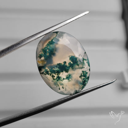 Faceted Moss Agate