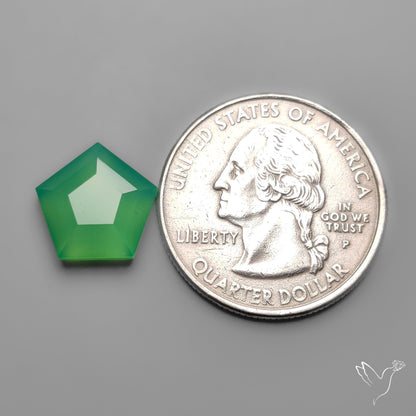 Step Cut Gemmy Chrysoprase