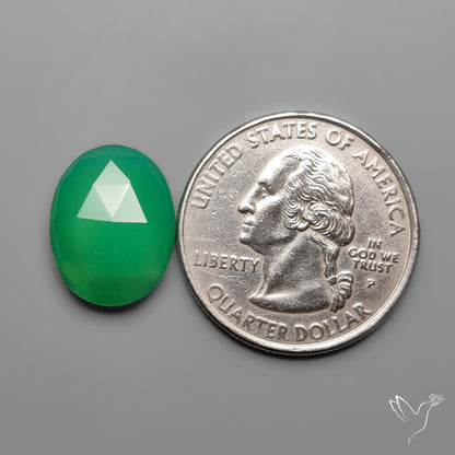 Rose Cut Gemmy Chrysoprase