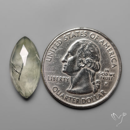 Rose Cut Black Tourmalinated Prehnite