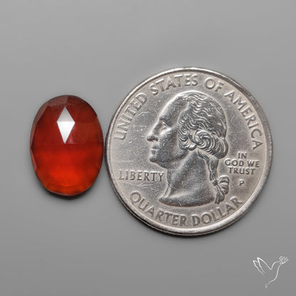 Rose Cut Mozambique Garnet