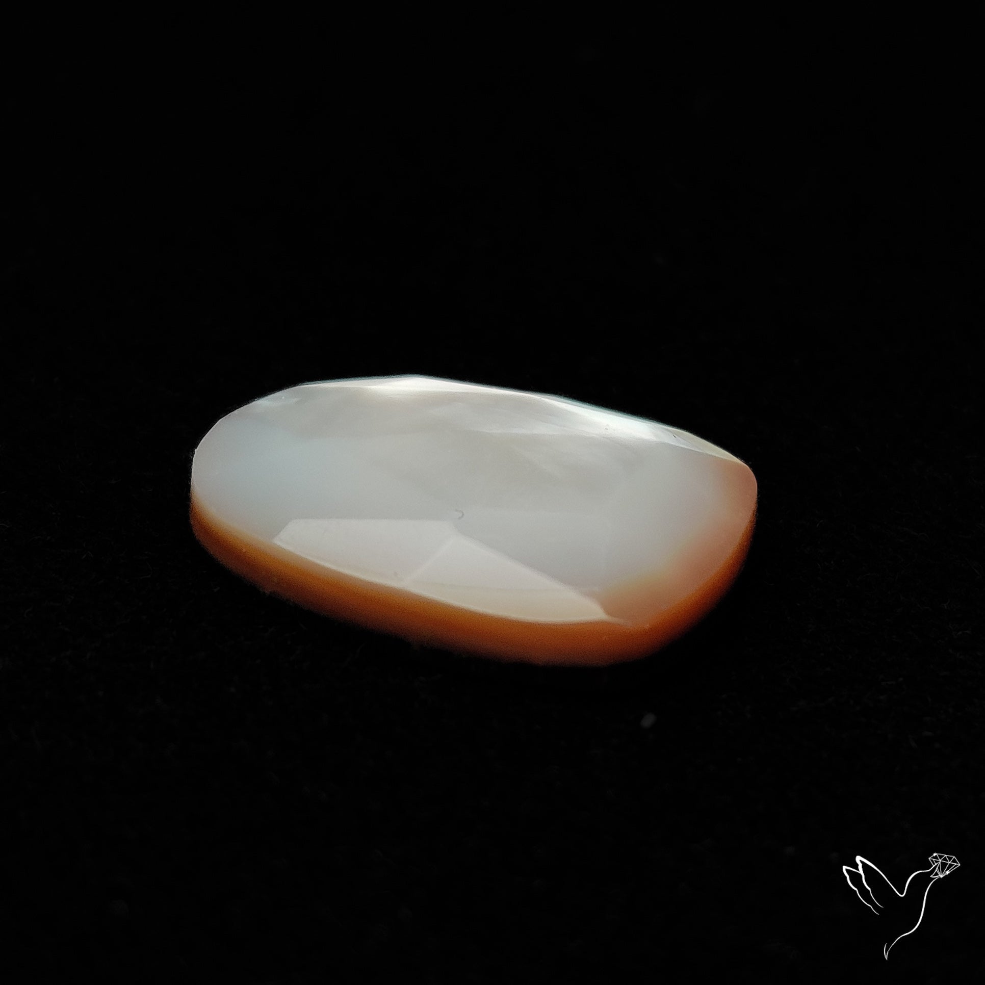 Rose Cut Mother Of Pearl