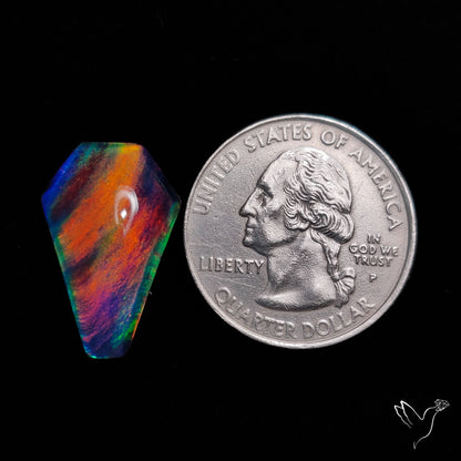 Aurora Opal Coffin Doublet