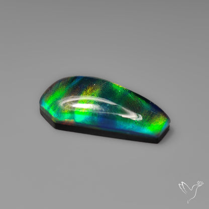 Aurora Opal Coffin Doublet