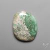 Lucin Variscite Cabochon