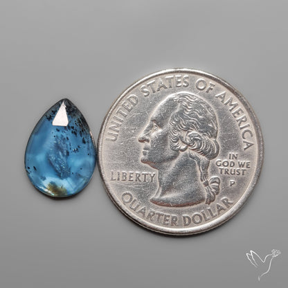 Rose Cut Teal Moss Kyanite