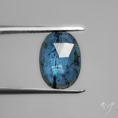 Rose Cut Teal Moss Kyanite