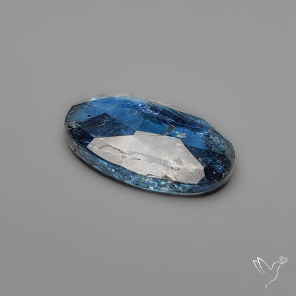 Rose Cut Teal Moss Kyanite