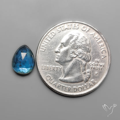 Rose Cut Teal Moss Kyanite