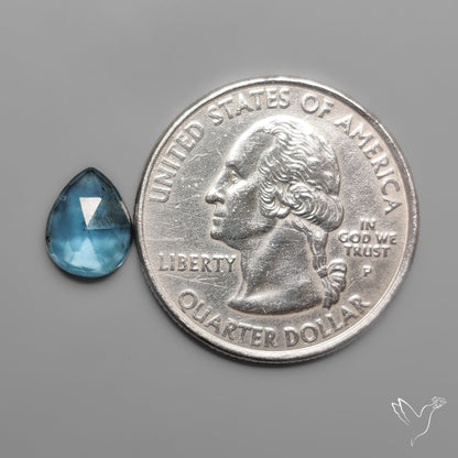 Rose Cut Teal Moss Kyanite