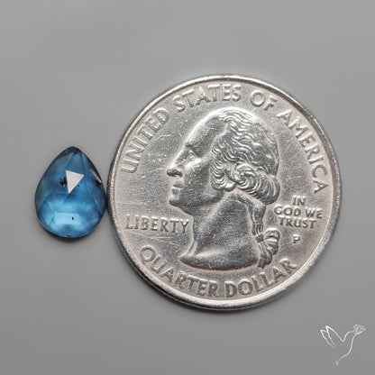 Rose Cut Teal Moss Kyanite