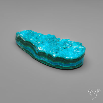 Botryoidal Chrysocolla