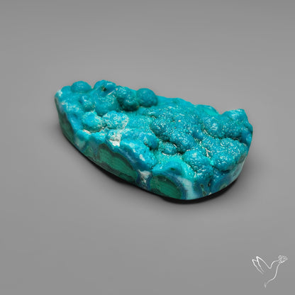 Botryoidal Chrysocolla