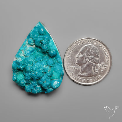 Botryoidal Chrysocolla